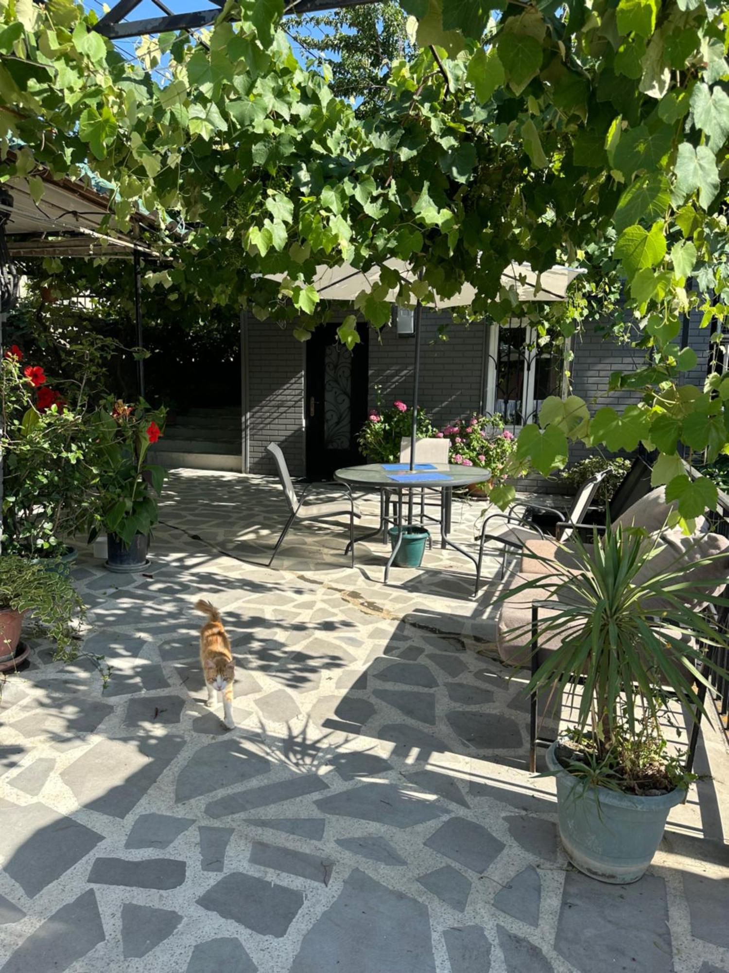 Apartment Lui Τυφλίδα Εξωτερικό φωτογραφία